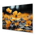 thumbnail image 2 of Designart "Golden Buttercups Yellow and Grey in Black and White III" Floral Metal Wall Decor, 2 of 5