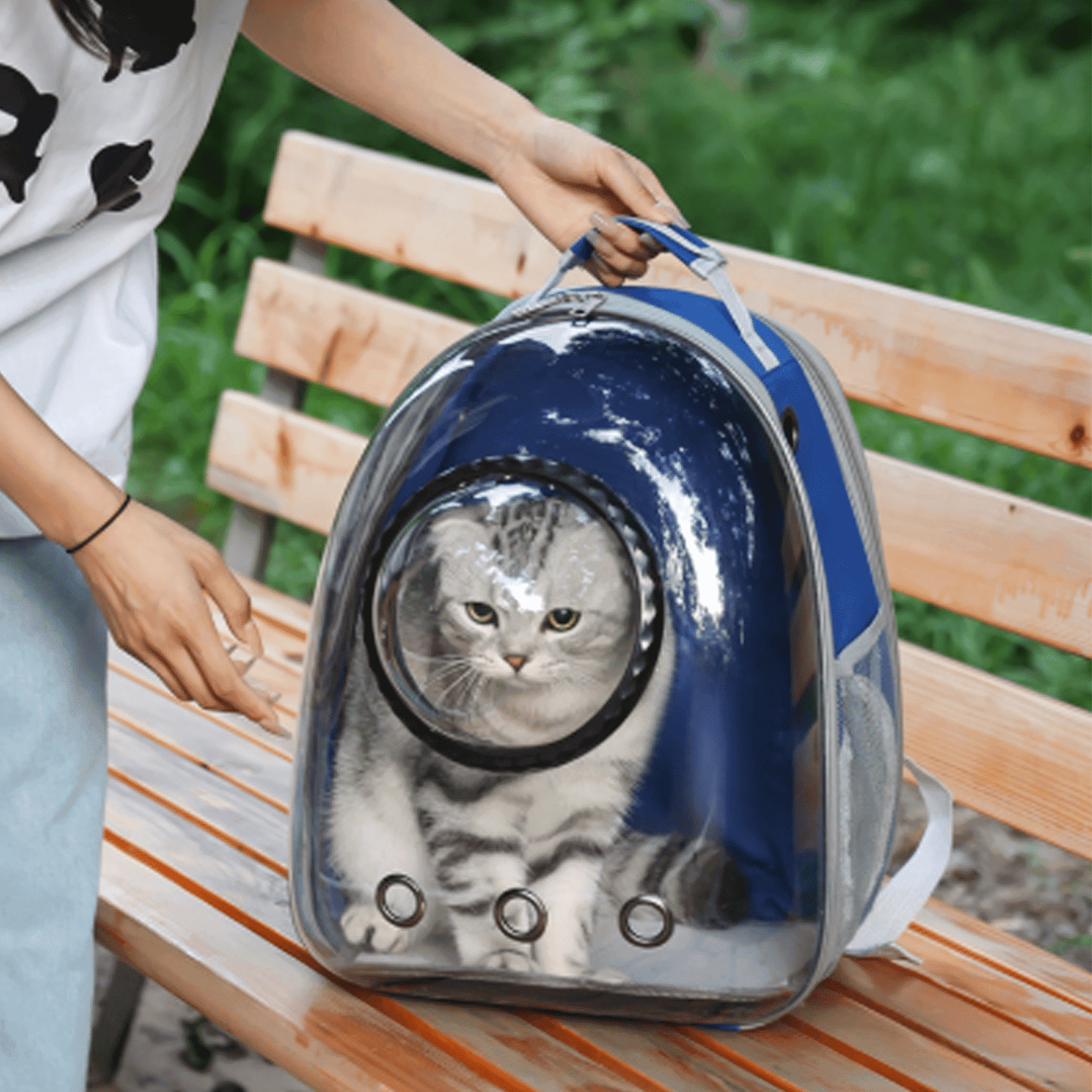 GASTROPOD 2026 New Cat Carrier,Anxiety-Relieving Transparent Window Cat Backpack,Comfortable 360°Breathable Mesh Cat Backpack Carrier,Expandable Space Cat Bag,Black