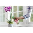thumbnail image 4 of Miracle-Gro Ready-To-Use Orchid Plant Food Mist 2 pack, 4 of 7