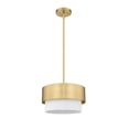 thumbnail image 2 of 495P12-MGLD-Z-Lite-Counterpoint - 1 Light Pendant In Modern Style-7.25 Inches Tall and 12 Inches Wide-Modern Gold Finish, 2 of 2