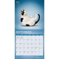 thumbnail image 4 of Yoga Cats OFFICIAL 2027 12x24" (Hanging) Wall Calendar | Plastic-Free | BrownTrout, 4 of 9