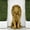 Golden, variant on 20.5" Black Lion Statue Outdoor Garden Decor, Weather-Resistant Matte Resin Animal Sculpture for Front Porch, Patio and Lawn, Art Deco Home Decor