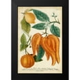 thumbnail image 2 of Weinmann 13x18 Black Modern Framed Museum Art Print Titled - Exotic Citrus I, 2 of 5