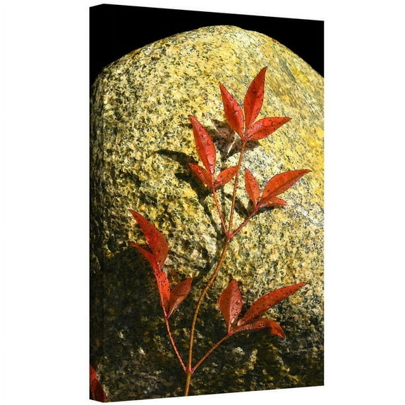 Dean Uhlinger "Natural World 15" Gallery-Wrapped Canvas