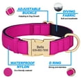 thumbnail image 4 of Didog Personalized Dog Collars Pet Waterproof Nylon Custom Laser Engraved Metal Buckle, 4 of 8