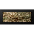 thumbnail image 2 of Rigsby, Jennifer 18x9 Black Modern Framed Museum Art Print Titled - Low Country Oaks I, 2 of 5