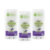 Stinkbug Naturals Deodorant, Lavender, 2.1oz, 3 Pack