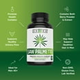 thumbnail image 5 of Zhou Saw Palmetto 500 mg | For Prostate Health | Healthy Urination Frequency & Flow | 100 Capsules, 5 of 7
