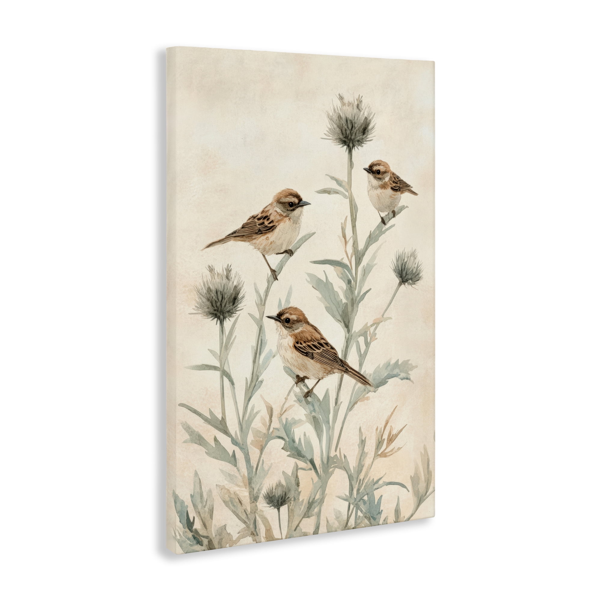 Stupell Industries Sparrows on Thistle Stems Canvas Wall Art, design by Petal Prints Design