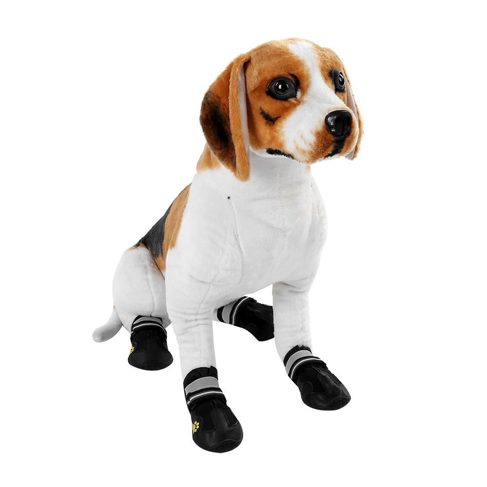 dog feet shoes