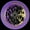 Black/Purple/Yellow, variant on Oath Bermuda Wheels - 110mm Black Red and Teal
