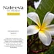 thumbnail image 2 of Perfume Nateeva con flor de frangipani de Santo Tomás EDP 100 ml Nateeva, 2 of 5