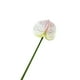 thumbnail image 2 of Flor de imitación de anturio,grulla de fuego,palmera artificial,arreglo floral para el salón de bodas,vegetación para el hogar,flores artificiales decorativas, 2 of 6