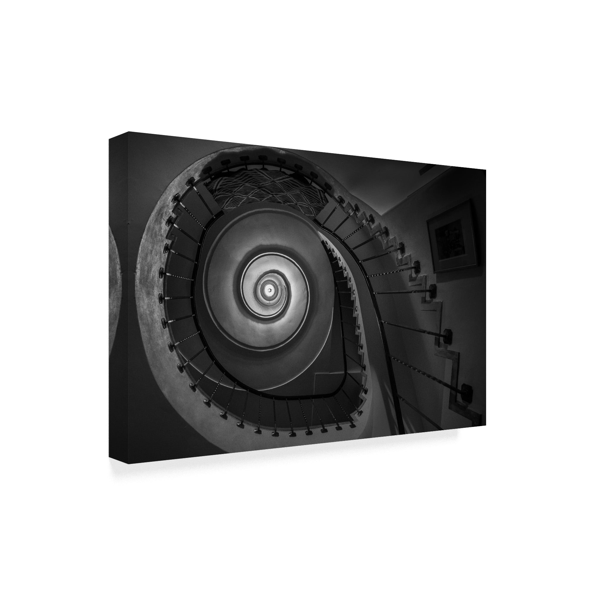 Trademark Fine Art 'Finding Fibonacci' Canvas Art by Brenda Petrella Photography Llc