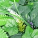 thumbnail image 3 of Fondo de pared con plantas simuladas, paneles de pared artificiales, pared de privacidad para jardín, 3 of 5