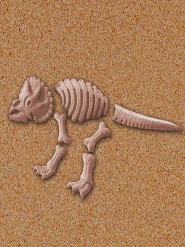 dinosaur fossil mold