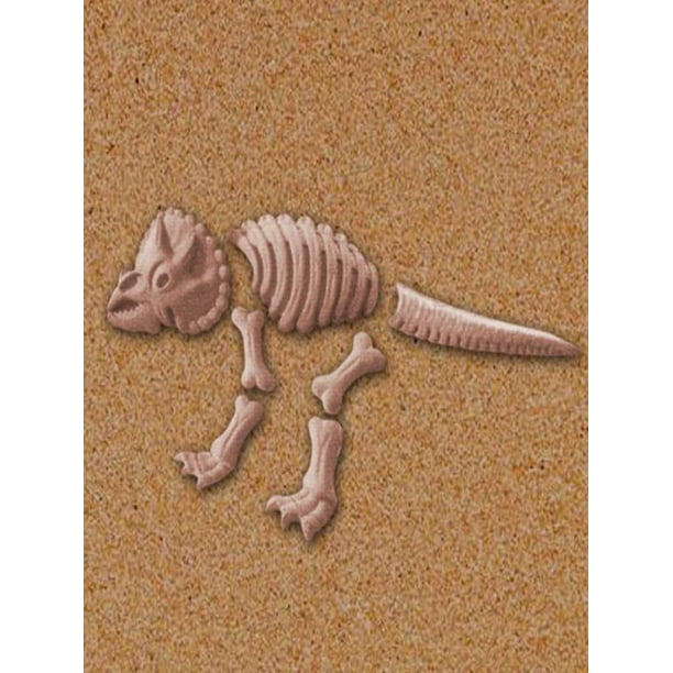 large dinosaur fossil mold
