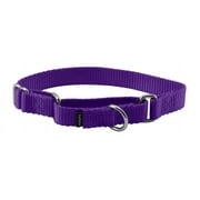 PetSafe Martingale Dog Collar, Small, 3/4 in, Deep Purple