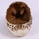 thumbnail image 5 of 3X Maceta de Resina con Forma de Calavera, Maceta para Flores y Suculentas, Maceta con Esqueleto Tallado, Maceta para Cactus de AzúCar, Soporte para Macetas, Cuenco para Dulces, 5 of 6