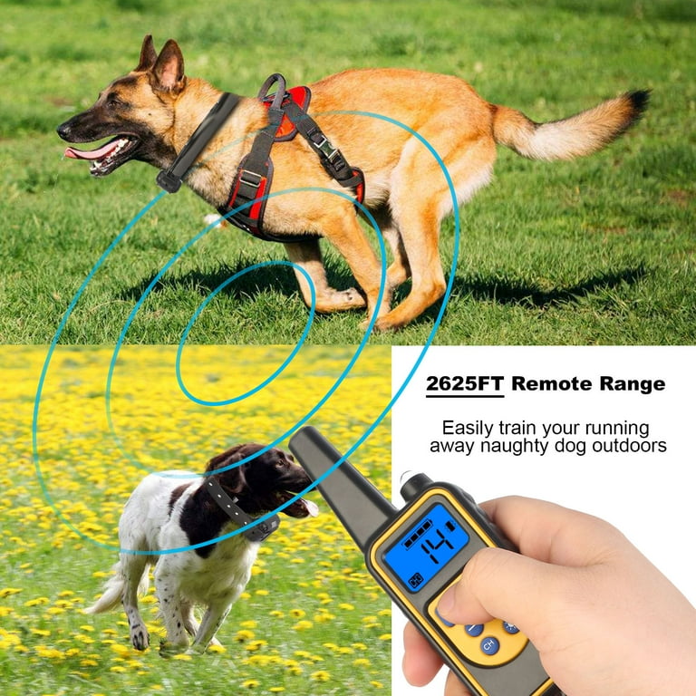 Shock collar for staying in yard cheap