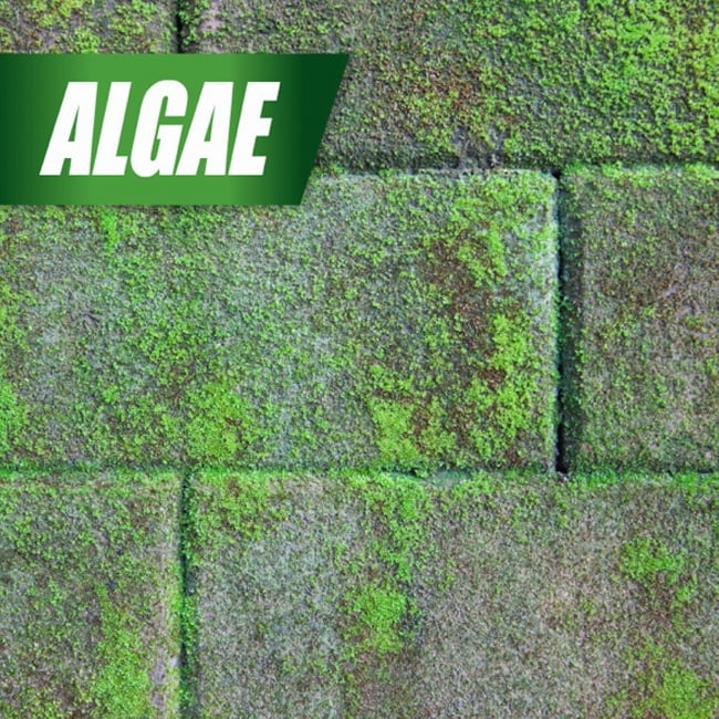 Pulverize Weed Killer for Lawns, 1 Gallon Ready-to-Use with Nested Trigger