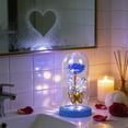 thumbnail image 3 of LED Preserved Rose Night Light in Glass Dome with Butterfly Valentine's Day Birthday Gift for Women Romantic Decoration(Blue), 3 of 6