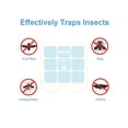 thumbnail image 3 of FOAUUH 40 Pack Refill Glue Cards for Safer Home SH502 and Dynatrap DT3005W Dot Indoor Fly Trap Plug-in Insect Trap Replacement Mosquito Sticky Glue Boards, 3 of 6