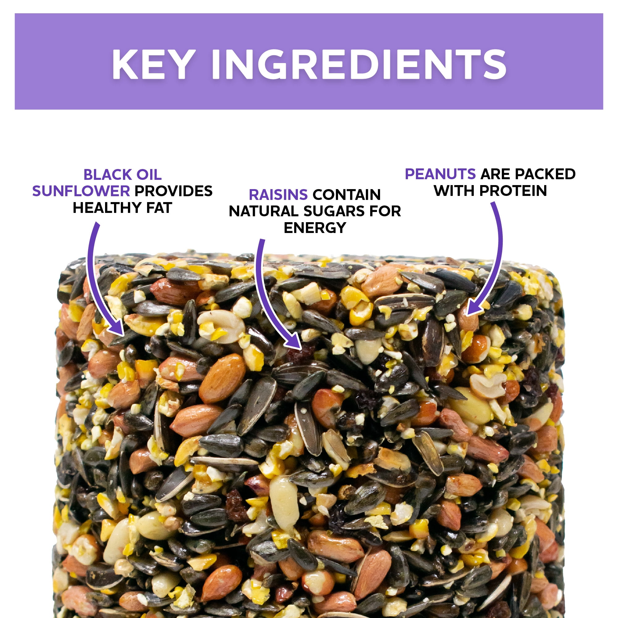 Vibrant Life Woodpecker Wild Bird Seed Log, 32 oz.