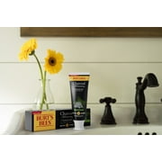 Burt?s Bees Fluoride Free, Charcoal, Zen Peppermint, 4.7oz