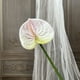 thumbnail image 5 of Flor de imitación de anturio,grulla de fuego,palmera artificial,arreglo floral para el salón de bodas,vegetación para el hogar,flores artificiales decorativas, 5 of 6