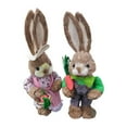 thumbnail image 3 of tamizeot Statues de Lapin Mignonnes et Vives Figurines de Lapin de Pâques Décorations Intérieures Ornements de Jardin Réalistes Belles Significations Style B, 3 of 6