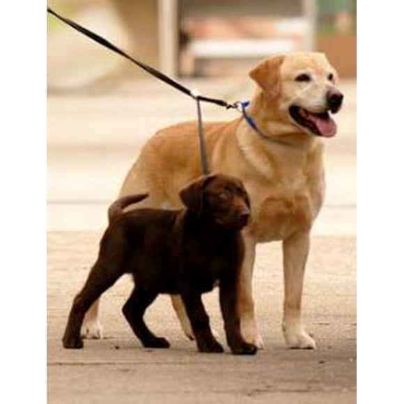 Sporn Double Dog Leash Fully Adjustable for Medium / Large Dogs Black - 1 count