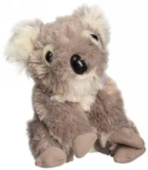 where to buy koala stuffed animal