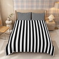 thumbnail image 3 of Meiyoeat Minimalist Vertical Stripe Duvet Cover Queen, Retro Geometric Line Queen Bedding, Black White,Reversible,3-Piece,No Comforter1 Duvet Cover and 2 Pillowcases, 3 of 6