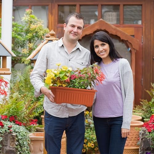 RibRave 6 Pack Window Box Planter, 17 inches Plastic Vegetable Flower Planter Boxes with Tray, Rectangular Indoor and Outdoor Flower Pots for Windowsill, Patio, Porch, Garden Balcony