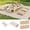 Brown, variant on Extra Large Outdoor Boho Picnic Blanket with Table Runner and 6 Throw Pillows Covers Wedding Party Decoration Photoshoot Home Garden Party Decor Patio Lawn OutdoorMat Beach Party theme Supplies Brown