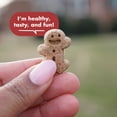 thumbnail image 5 of Buddy Biscuits Softies Soft & Chewy Grain Free Dog Treats, Beef, 5 oz. Bag, 5 of 12