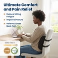 thumbnail image 2 of Everlasting Comfort Lumbar Support Pillow – Memory Foam Back Cushion for Office Chair, Car and Travel, 2 of 9