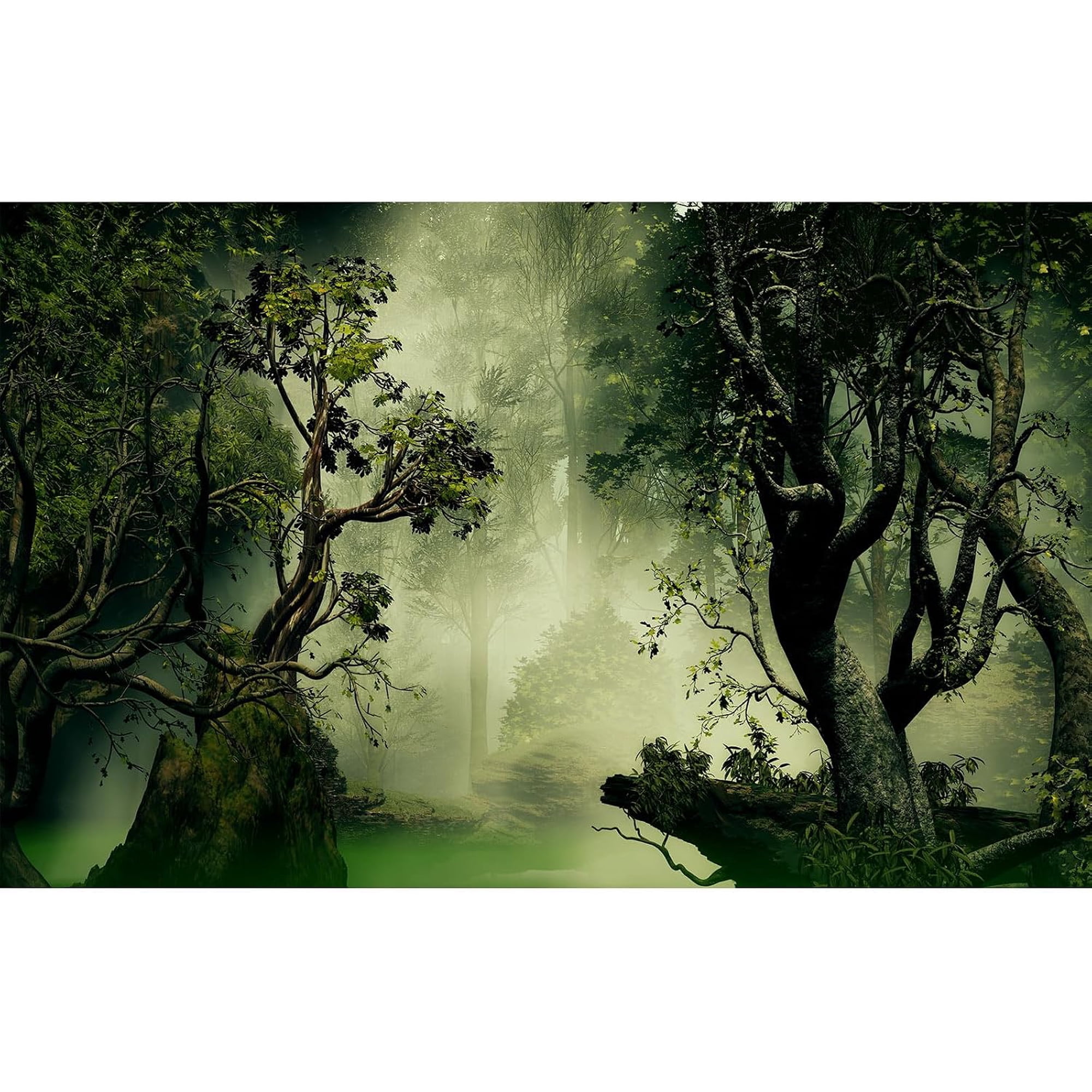 Forest Aquarium Background Jungle Plants Old Trees Reptile Habitat Background Fantasy Misty Foggy Rainforest Natural Landscape Fish Tank Background Misty Forest Terrarium Background Vinyl 24x12in