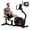 HR-B12 Black, variant on HARISON Recumbent Exercise Bike with 14-Level Magnetic Resistance, 350lb Capacity Stationary Bike with Bluetooth & App Control