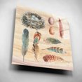 thumbnail image 5 of Epic Art 'Spiced Nature X' by Lisa Audit, Acrylic Glass Wall Art, 12"x12", 5 of 8