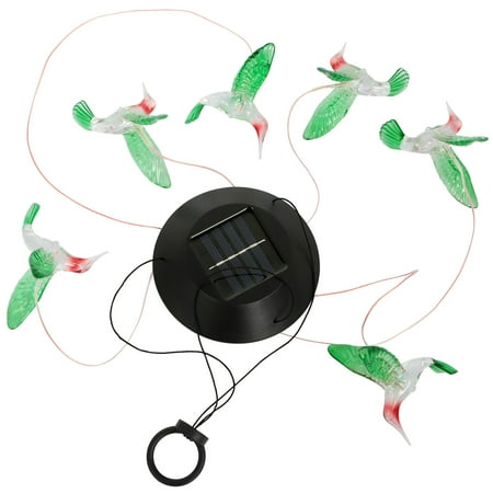 hummingbird string lights