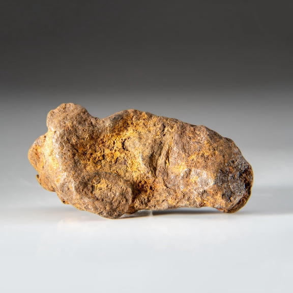 Genuine Gebel Kamil Meteorite from Egypt (148.9 grams)