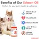 thumbnail image 2 of Suplemento de aceite de pescado Hofseth BioCare Brilliant Omega 3 1.18L, 2 of 9