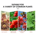 thumbnail image 4 of Yegbong Plant Growth Nutrient Slow Release Tablets Fruit and Vegetable Plant Potted Root Growth Universal Nutrient Tablets, 4 of 6