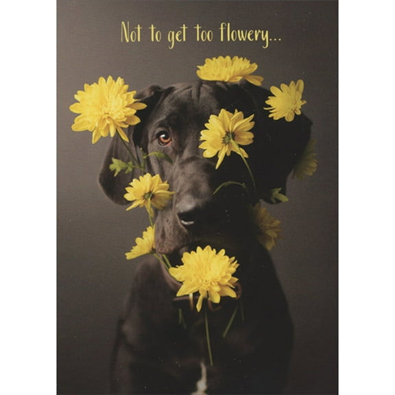 RSVP Chocolate Lab Covered with Yellow Flowers: Not To Get Too Flowery Cute Dog Mother's Day Card