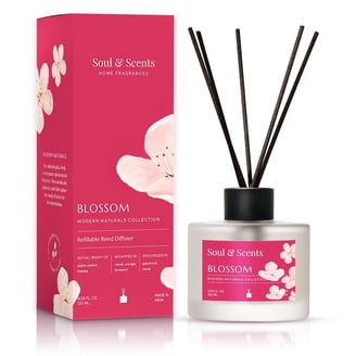 Ashleigh & Burwood Mini Reed Diffuser, Moroccan Spice Fragrance