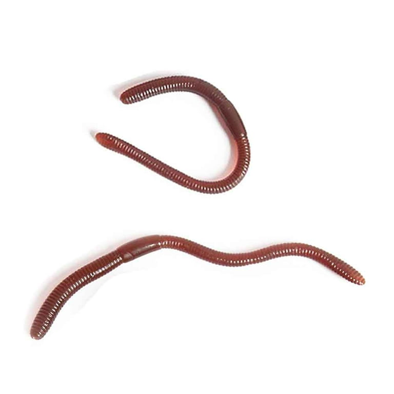 20 Pcs Simulation Earthworm Plastic Lifelike Worm Soft Stretchy Rubber  Earthworms Trick Toy for Halloween Party;20 Pcs Simulation Earthworm  Plastic Lifelike Worm Soft Earthworms Trick Toy 
