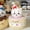 A1, variant on Cute Chiikawa Hachiware Birthday Cake Plush Toys Anime Usagi Caramel Pudding Collect Dolls Birthday Gift
