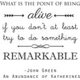 thumbnail image 1 of What is the point of being alive' - John Green - Saying Vinyl Wall Decal Quote Art - Craft Room Sticker - 20"x20" [Y5], 1 of 4